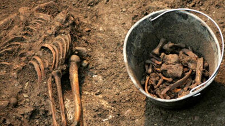 Med letoma 1944 in 1946 naj bi sicer v nekdanji Jugoslaviji brez obsodbe ubili m