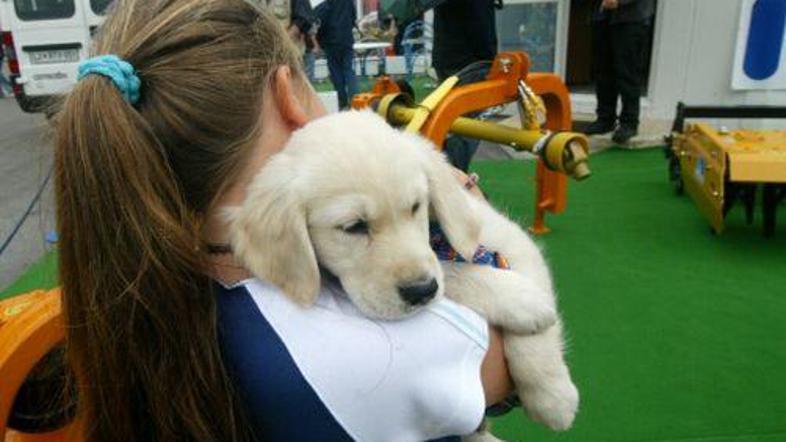 Sejem bo odprt do petega septembra, na njem pa se predstavlja kar 1.680 razstavl