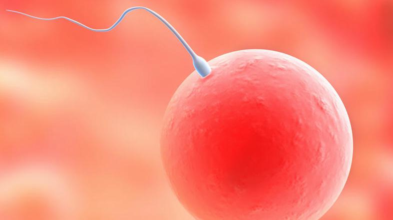 Zdravniki priporočajo redne teste plodnosti. (Foto: Shutterstock)