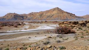 Puščava v ameriški zvezni državi Arizona.