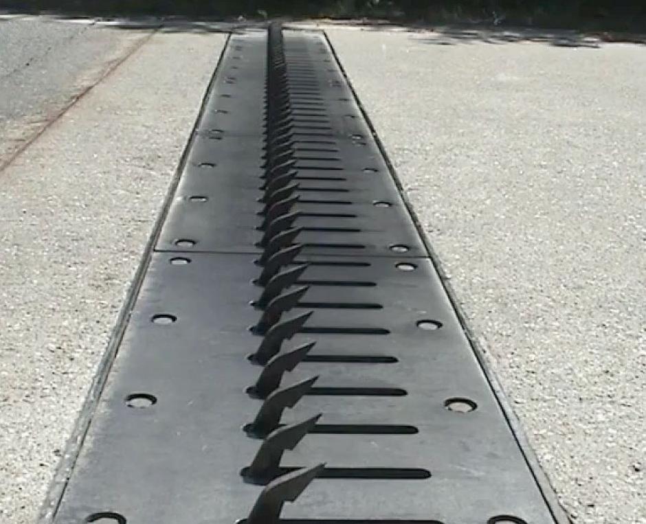 Ježevke | Avtor: Youtube