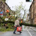 Posledice neurja, Zagreb, podrta drevesa