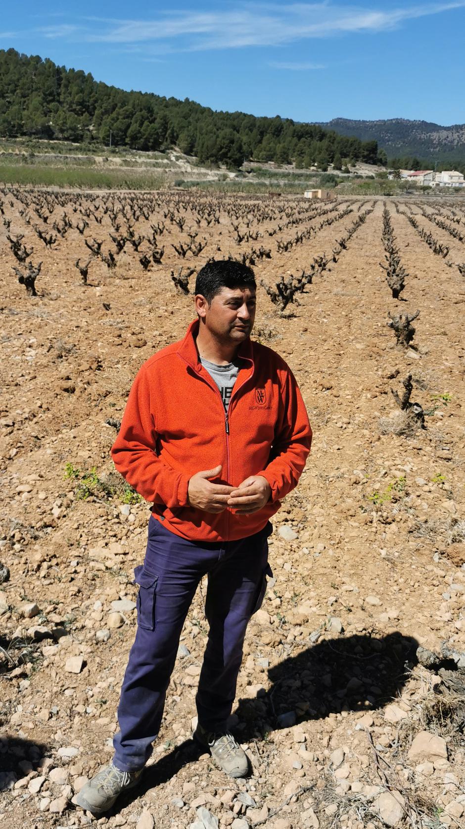 Vinska klet LAVIA, Murcija, Španija | Avtor: Žurnal24 