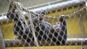 Živalski vrt Ljubljana