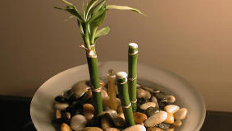 Sobno fontano okrasite s kamenčki in zelenjem.