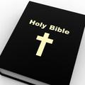 Pregovorno zelo verni Američani najraje prebirajo sveto pismo.