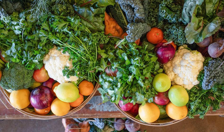 Vlada plačala več kot 100.000 evrov za smernice, ki jih sploh ne smemo videti