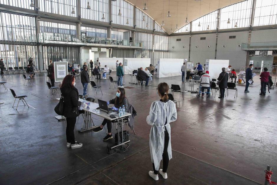 cepljenje | Avtor: Saša Despot