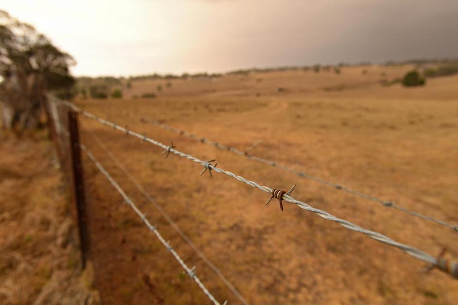 Avstralija, požari | Avtor: Epa