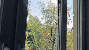 Tak je bil danes pogled na razbita okna šole. (Foto: Gregor Katič)