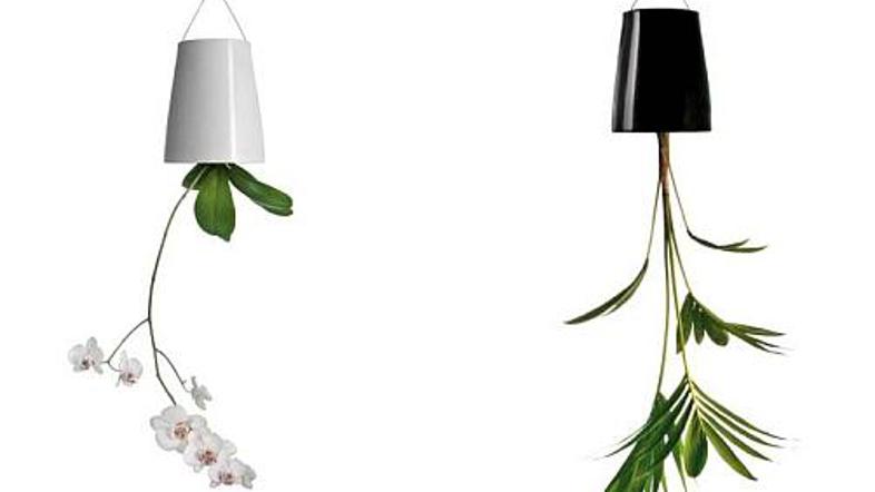 Od zgoraj navzdol ...