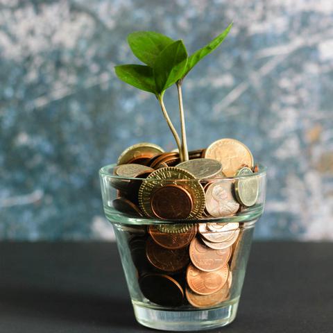 Denar, varčevanje, prihranki, investicija