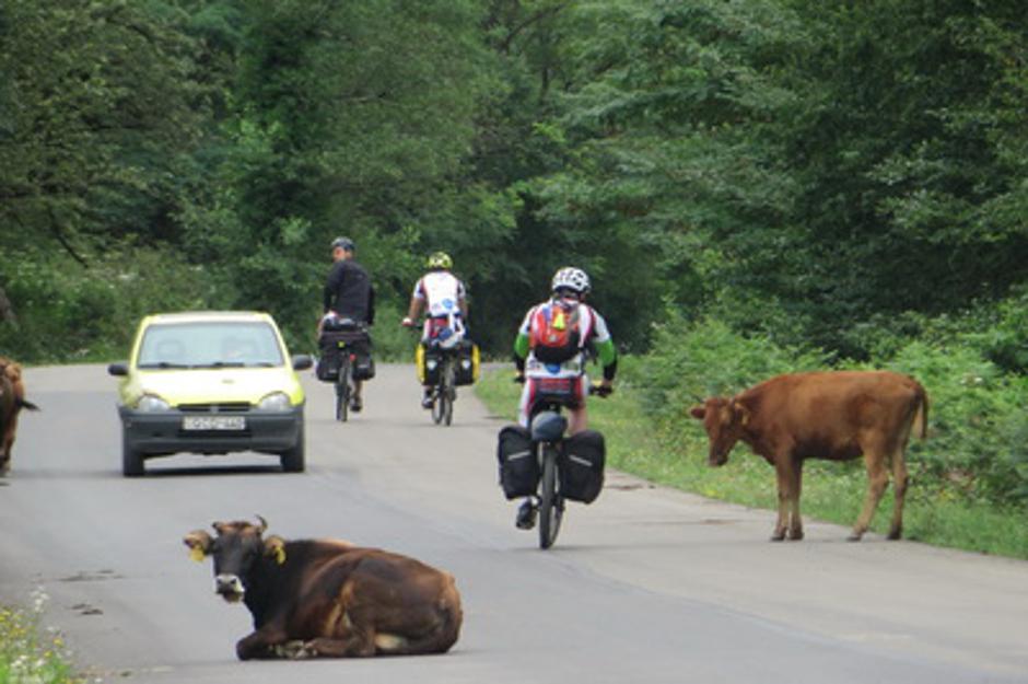 kolesarjenje po Gruziji | Avtor: Kolesarsko društvo Raketa