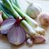 čebula