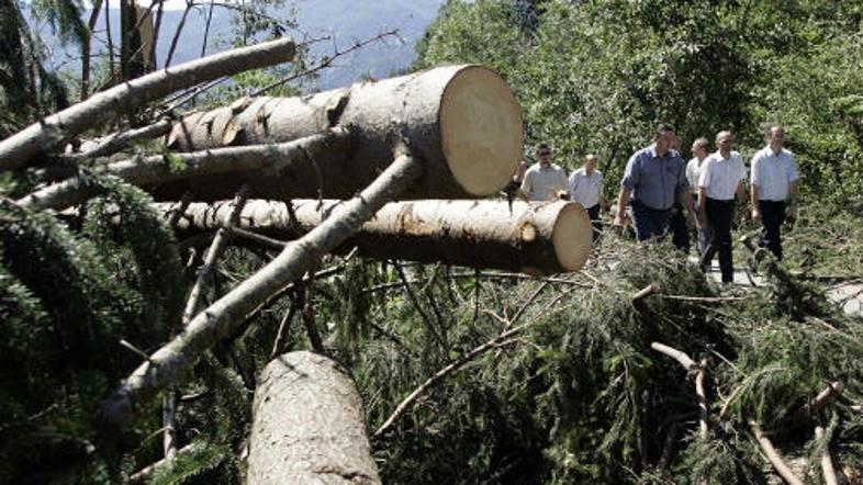 Preiskovalci so ugotovili, da je požagano drevo pokojnega udarilo v glavo, zarad