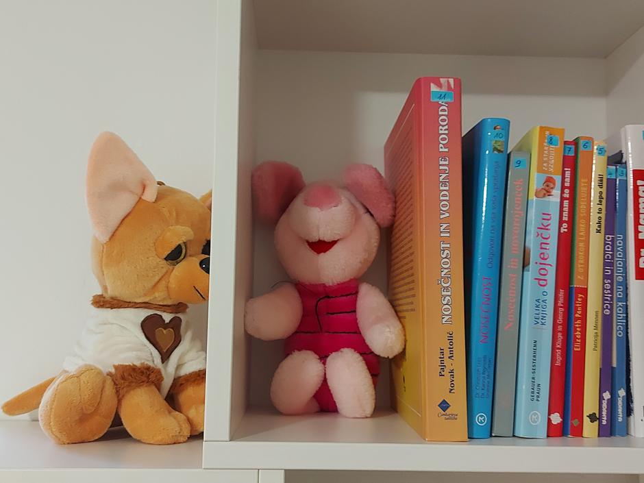 Materinski dom Gorenjske | Avtor: M. Ha.