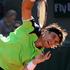 Robredo Ferrer OP Francije Roland Garros četrtfinale tenis