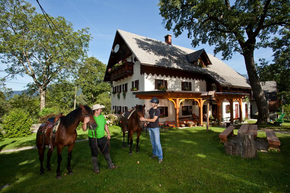 Združenje turističnih kmetij Slovenije | Avtor: Združenje turističnih kmetij Slovenije