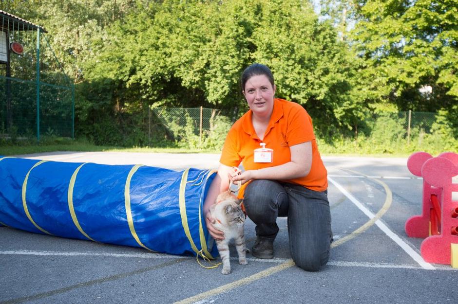 ambasadorji nasmeha | Avtor: Anže Petkovšek