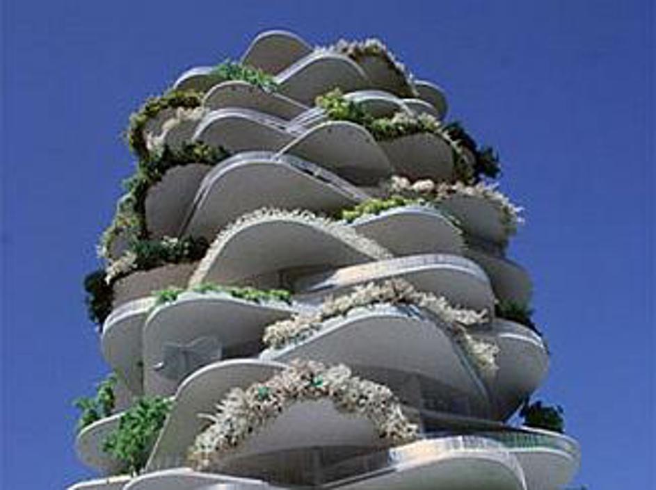 Hiša Kaktus navdušuje na Nizozemskem.