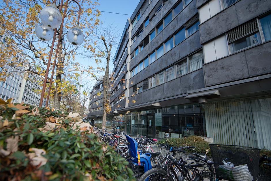 RTV Slovenija | Avtor: Anže Petkovšek