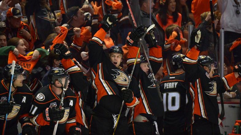 anaheim ducks