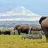 Narodni park Amboseli, Kenija