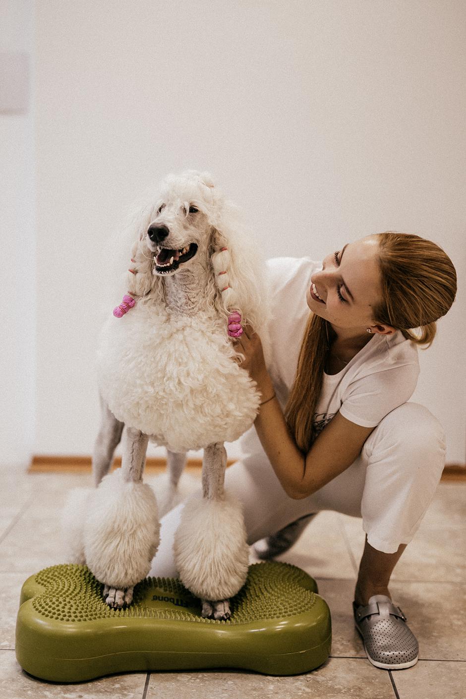 Fizioterapija za živali - Humanimal Fizio | Avtor: Humanimal Fizio