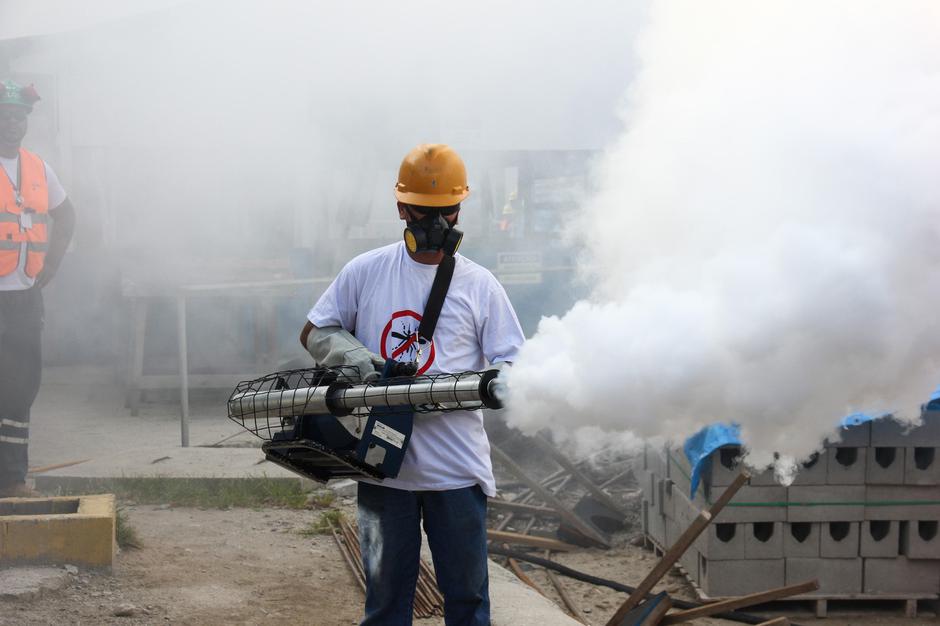 Iztrebljanje komarjev v Braziliji | Avtor: Profimedia