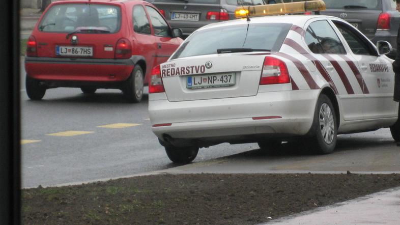 Kdo drug bi v takšnem primeru hitro dobil predpisano kazen. (Foto: Bralka)