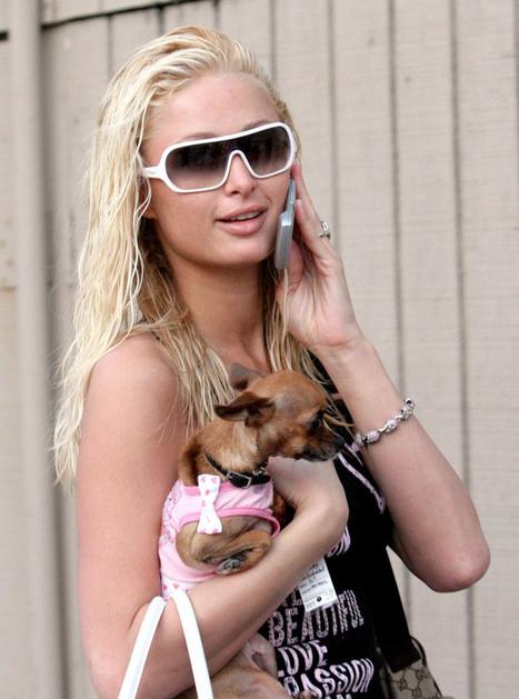 paris hilton