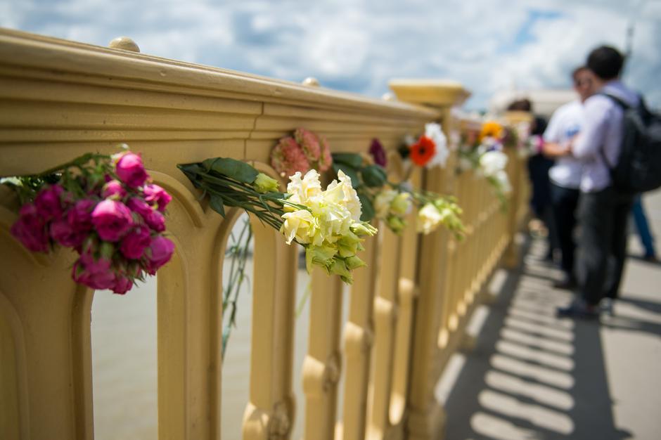 Donava, potopljena ladja | Avtor: Epa