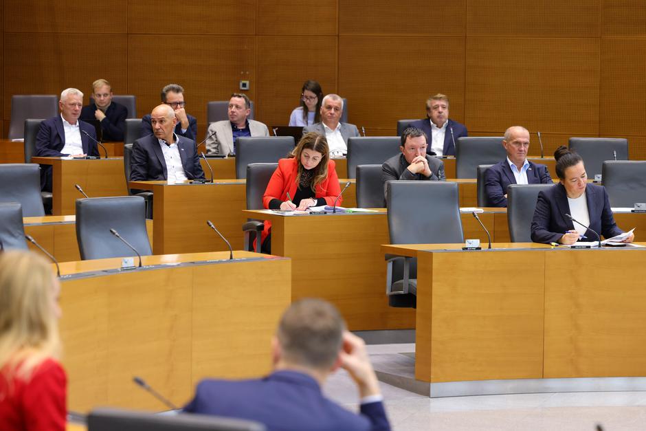 poslanke in poslanci SDS interpelacija Maljevac | Avtor: Državni zbor/Sušnik Matija