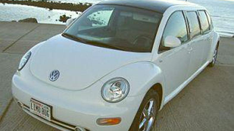 Zvezdniškega blišča željni posamezniki, ki želijo biti obenem še nekaj posebnega