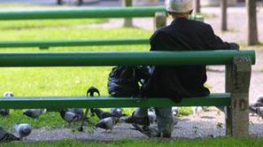 (Foto: Anže Petkovšek)