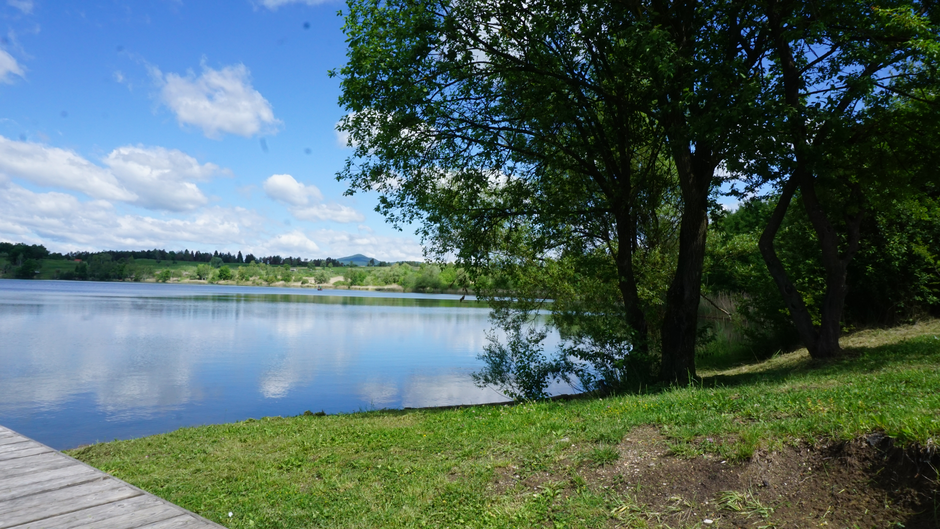 Kočevje | Avtor: Andreja Cilenšek