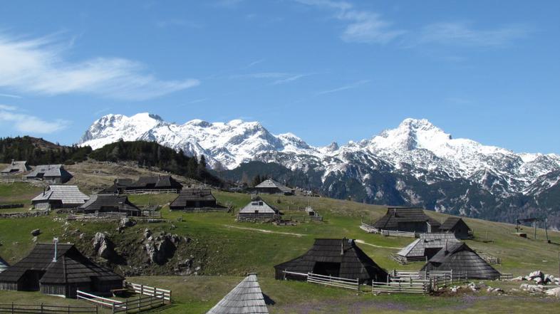 POMLAD VELIKA PLANINA