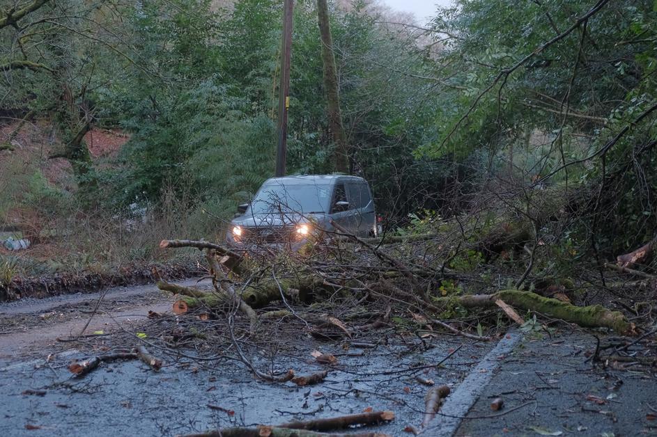 nevihta Goretti podrta drevesa Velika Britanija