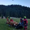 reševanje helikopter krava