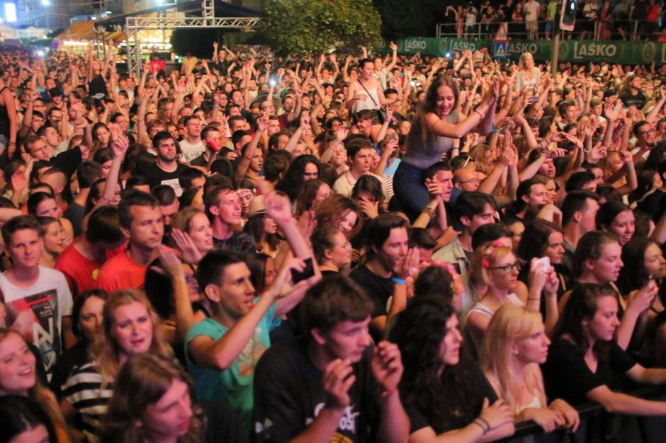 Pivo in cvetje  | Avtor: Gregor Katič