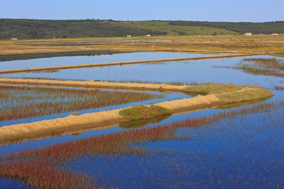 Sečoveljske soline | Avtor: Profimedia