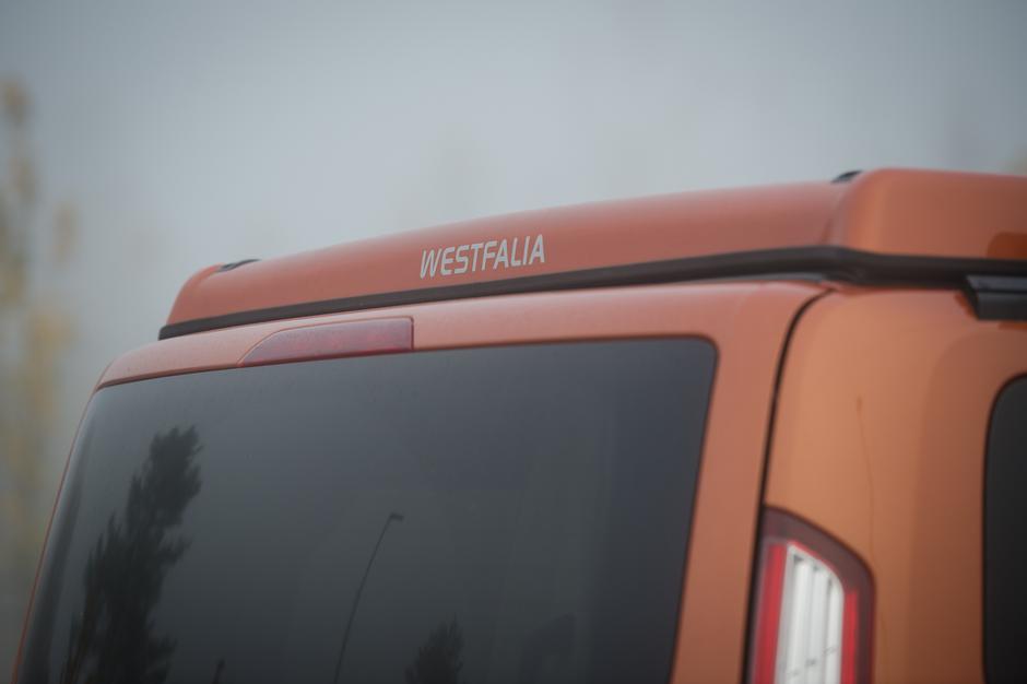 Nugget | Avtor: Anže Petkovšek