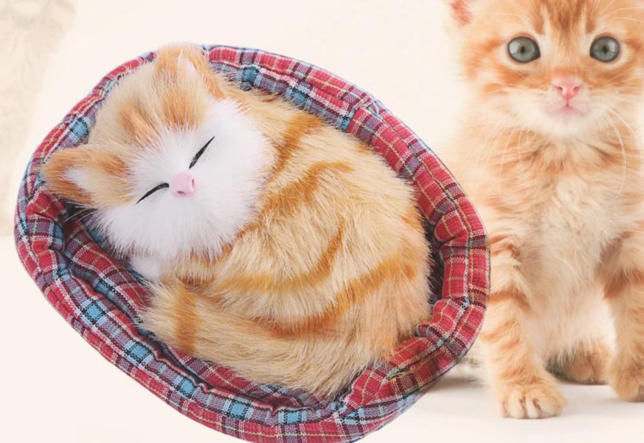 GearBest | Avtor: GearBest