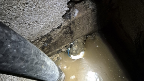 Kanalizacija in vedro