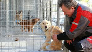 Mačja hiša se bo pritožila na postopek izbire upravitelja zavetišča.