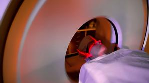 Fotografija je simbolična