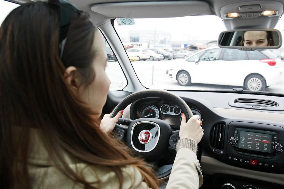 Voznica | Avtor: Saša Despot