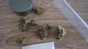 konoplja marihuana osebna raba