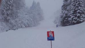 Osebe na plazu, zaprta pot, Zelenica