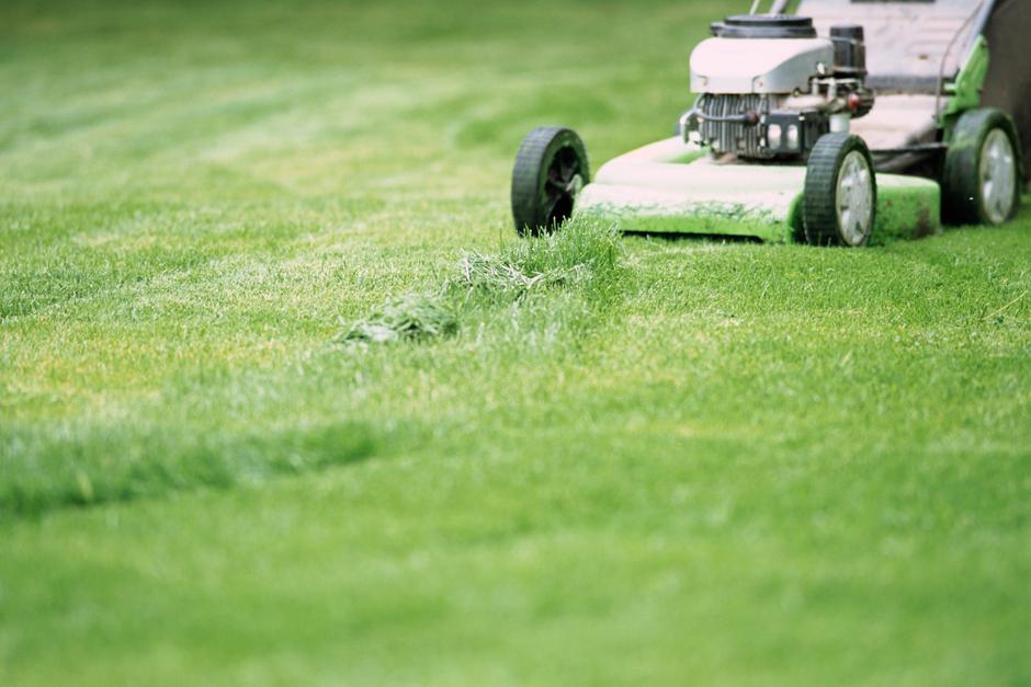 Košnja trave | Avtor: Profimedia